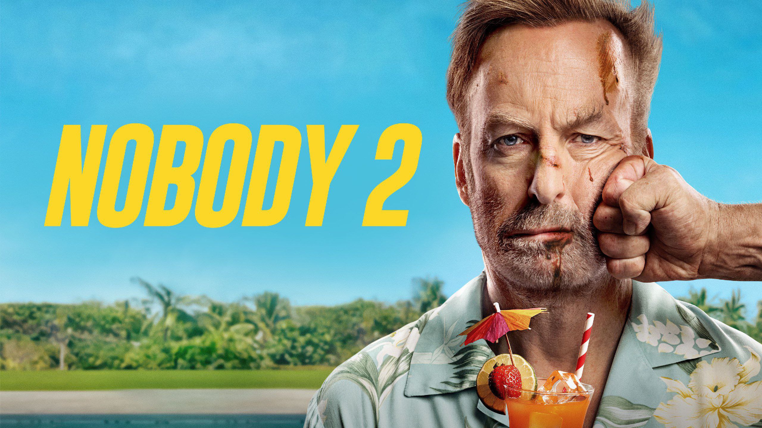Nobody 2 2025 Dual audio hindi dubbed